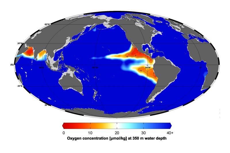 Untersuchungen von Sedimentbohrkernen zeigen, dass die marinen Gebiete mit Sauerstoffarmut (rot) in langen Warmzeiten der Vergangenheit schrumpften. 