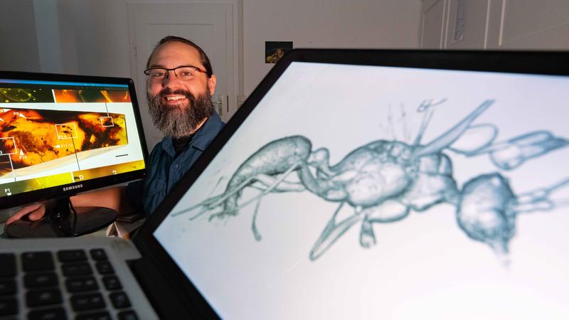 Dr Brendon E. Boudinot. In the foreground a 3D image of the newly discovered ant species can be seen. On the screen in the background an several million year old amber find with enclosed ants is shown.