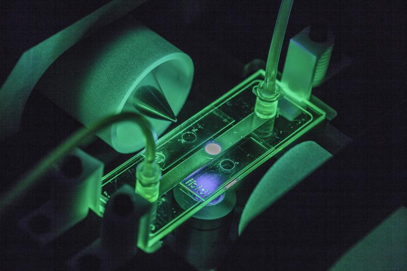 Im Projekt BioProS wird eine neuartige biohybride Sensortechnologie entwickelt, die zellbasierte Virusinfektionszyklen in Echtzeit überwacht, um hocheffiziente Produktionsprozesse mit Inline-Qualitätskontrolle zu realisieren.