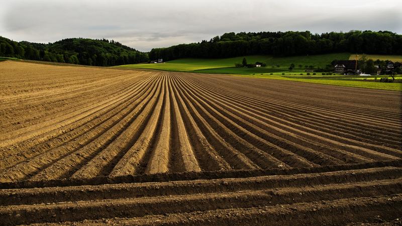 Die neue Studie zeigt, welchen Herausforderungen sich die Landwirtschaft der Schweiz und ihrer europäischen Nachbarn stellen muss.