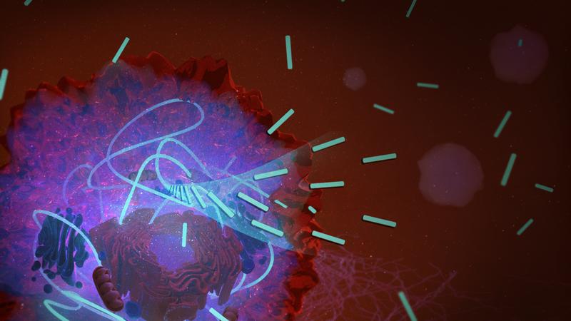 Due to the conditions in a cancer cell, molecules - drawn here in light green - can join together to form long hairs. These then stop the conversion of oxygen into energy, which the cell needs to grow. The result: the cancer cell dies.