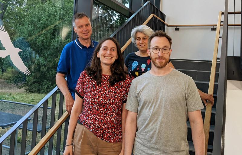 Autor*innen : (v.l.) Prof. Dr. Alexander Flügel (Direktor des Instituts), Dr. Arianna Merlini (Erstautorin, Postdoktorandin), Prof. Dr. Francesca Odoardi (Inhaberin einer Heisenberg-Professur) und Michael Haberl (Postdoktorand).