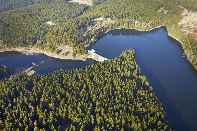 Die Rappbodetalsperre im Harz ist von Wäldern umgeben und die größte Trinkwassertalsperre Deutschlands 