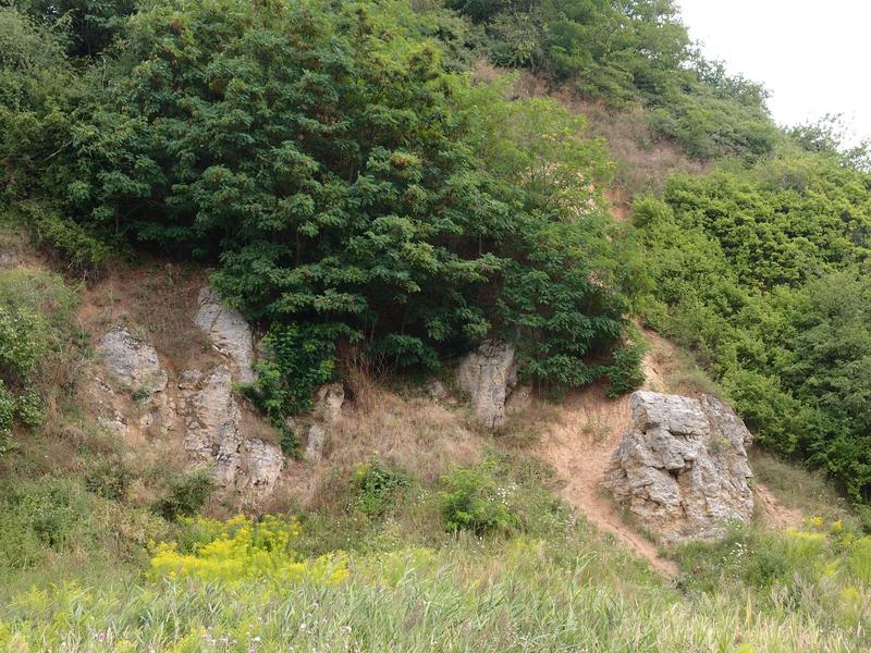 Gipsfelsen in Sperenberg, Brandenburg