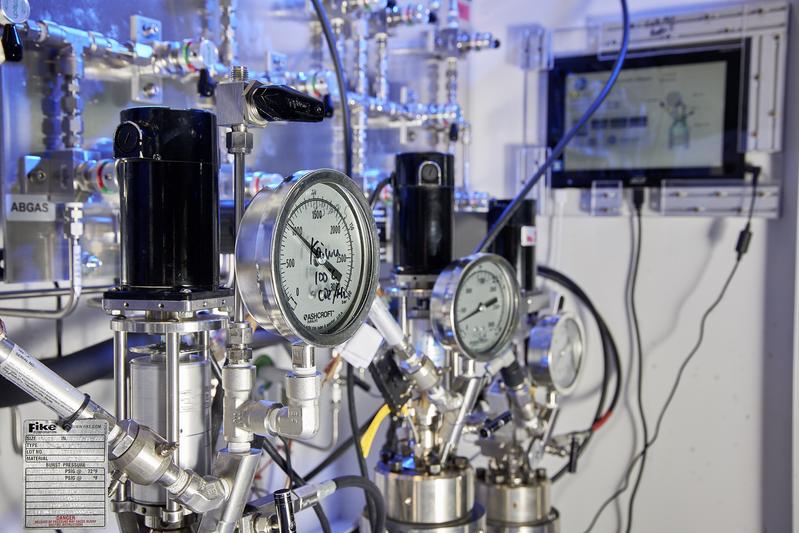 : Druckreaktoren am Leibniz-Institut für Katalyse – Die Arbeiten erfolgen zunächst im Labormaßstab und werden anschließend in einen größeren Maßstab überführt. 