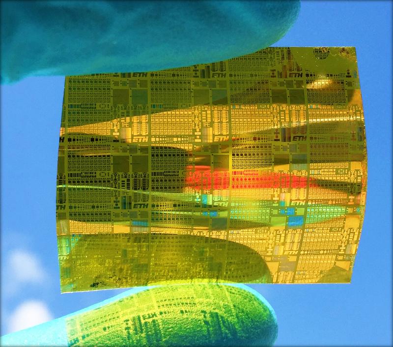 Flexible: Electronic circuits on a film of polyimide from the Empa laboratory form synaptic transistors.
