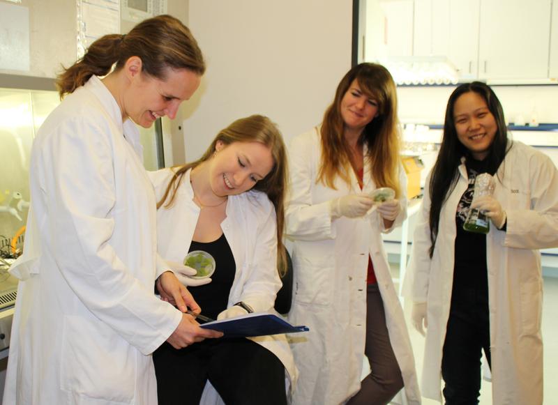 Dr. Mareike Schallenberg-Rüdinger (left to right), Elena Lesch, Sarah Brenner and Yingying Yang preparing moss gene constructs to be transferred into human cell lines to introduce RNA editing. 