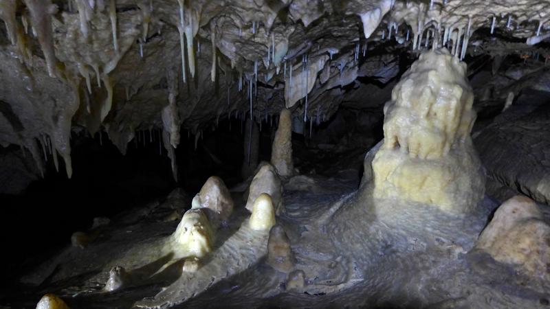 Mithilfe der Analyse von Höhlenablagerungen aus der Region Meghalaya im Nordosten Indiens konnte das internationale Forscher*innen-Team die Geschichte von Monsun und Dürre der letzten 1000 Jahre präzise nachzeichnen.