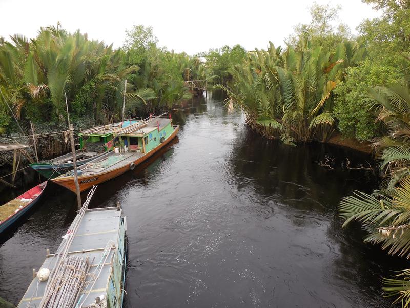 Messkampagne auf dem tropischen Torffluss Maludam in Malaysia. Die typisch dunkle Wasserfarbe deutet auf einen hohen Gehalt gelösten Kohlenstoffs, weshalb Torfflüsse auch Schwarzwasserflüsse genannt werden. Foto: Alexandra Klemme / Universität Bremen