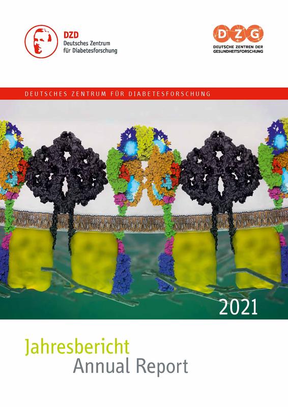  Der aktuelle Jahresbericht des DZD: Auf dem Cover ist ein Modell des neu entdeckten Insulin-inhibitorischen Rezeptor „Inceptor“ zu sehen.