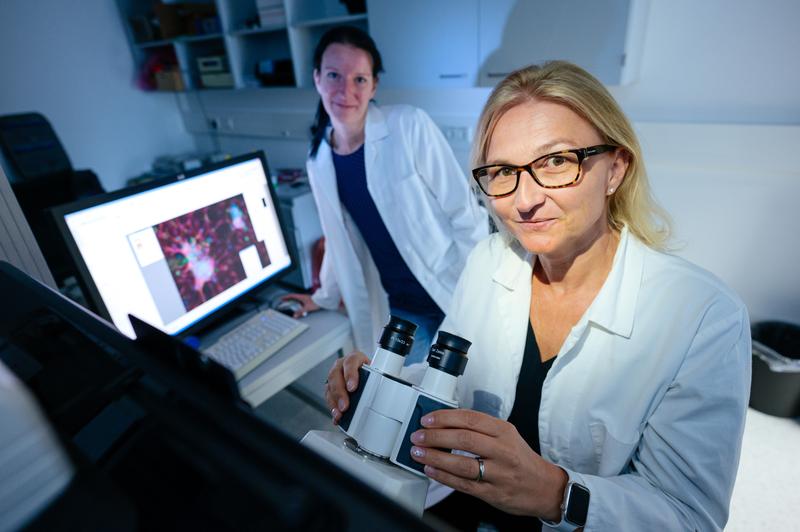 Dr. Annette Lis (r.) und Dorina Zöphel (l.) erforschen an der Universität des Saarlandes, wie sich die Aktivität von Killerzellen während des Alterungsprozesses verändert.