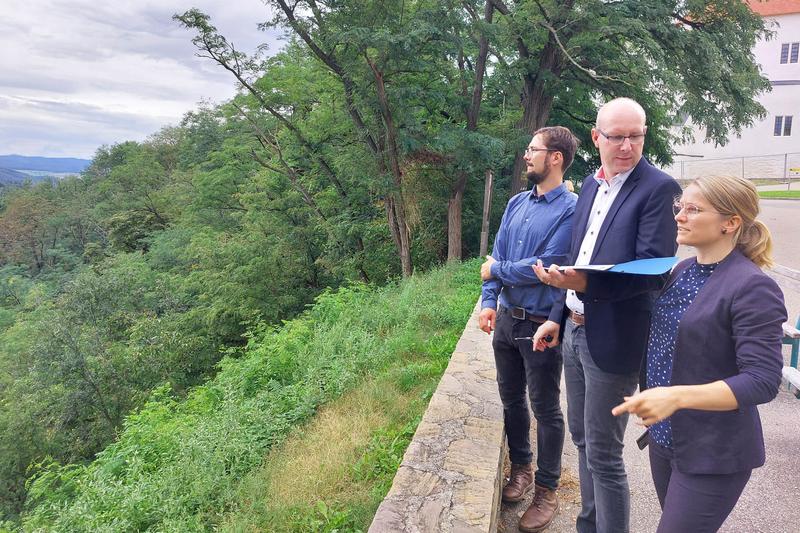 Dr. Anne Rabes und Jan Schmidt von der Internationalen Zertifizierungsstelle Heilwald der BioCon Valley® GmbH begutachten mit dem Vertreter Österreichs, Dominik Mühlberger vom Bundesfor-schungszentrum Wald, den Heilwald des Stift Göttweig.