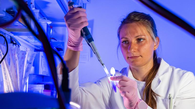 Doktorandin Eva-Maria Piskor ist Mitautorin der Studie. Hier pipettiert sie Proben für einen Western-Blot.