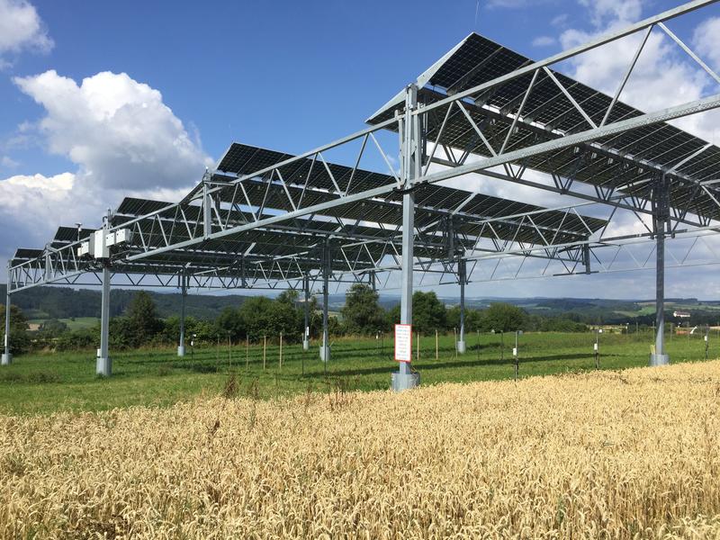 Grüner Strom von Acker – Studie der Uni Hohenheim zeigt: 10 % der landwirtschaftlichen Betriebe könnten auf nur 1 % der Ackerfläche Deutschlands ca. 9 % des bundesw. Strombedarfs decken ohne die landwirt. Produktion auf den Flächen aufgeben zu müssen.
