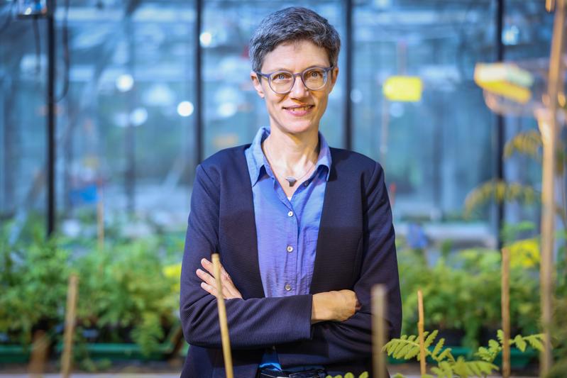 Prof’in Dr. Caroline Müller bereitet gemeinsam mit ihrem Team die Tagung ihrer Forschungsgruppe „Ökologie und Evolution intraspezifischer Chemodiversität von Pflanzen“ vor.