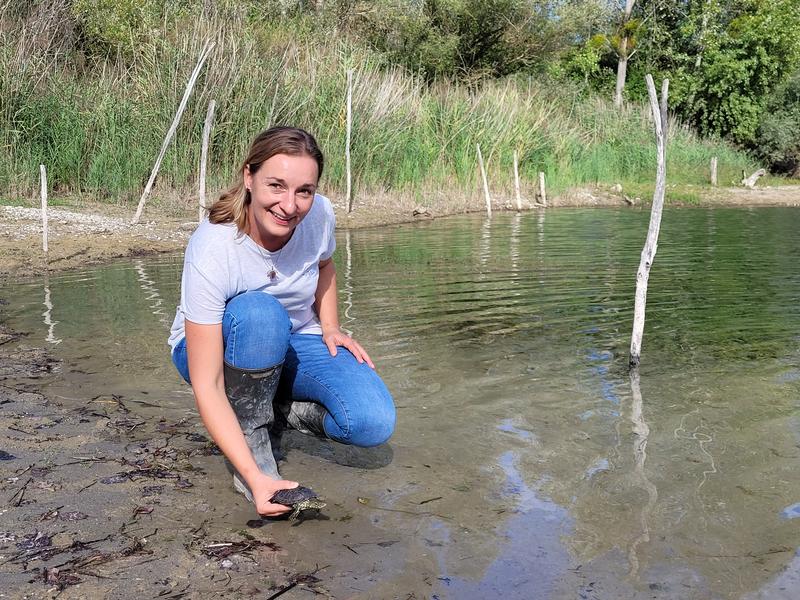 Dr. Kathrin Theissinger leitet das Projekt Emys-R zur Wiederansiedlung der Europäischen Sumpfschildkröte