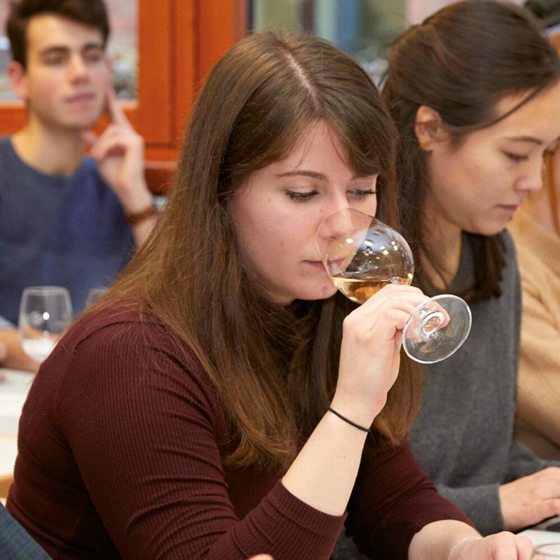 Schnupperangebot zum Fernstudium Management in der Weinwirtschaft
