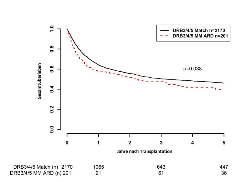 Unterschied beim Anteil der überlebenden Transplantatempfängern ohne DRB3/4/5 Differenz (schwarz) gegenüber Transplantatempfängern mit DRB3/4/5 Differenz (rot) in Abhängigkeit von der Zeit nach Transplantation in Jahren.