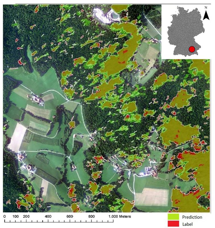 Erkennung von Waldschäden mit Fernerkundung und KI