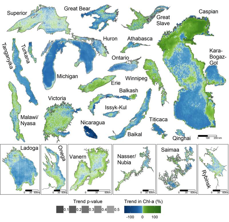 Die Kartierung von Chlorophyll-a an der Seeoberfläche zeigt die unterschiedlichen Reaktionen der Seen auf den globalen Wandel (1997-2020).