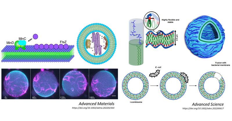 A graphical abstract of the two publications