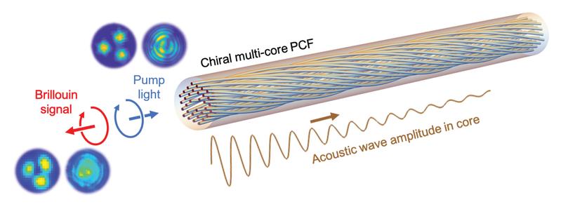 Visualisierung des topologieselektiven Brillouin-Streuungseffekts in einer chiralen photonischen Kristallfaser. Lineare Pfeile stehen für die Ausbreitungsrichtung und kreisförmige Pfeile für zirkuläre Polarisationszustände oder Wirbelphasen.