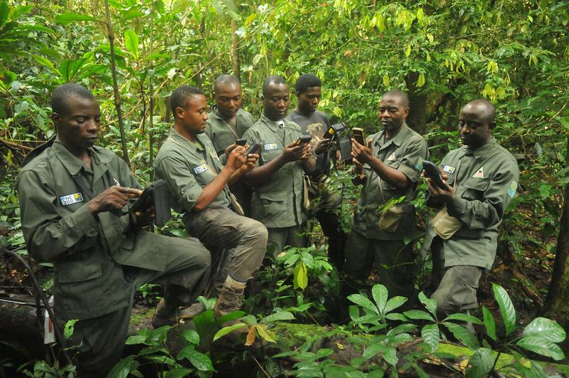 Rangers in the tropical rain forest