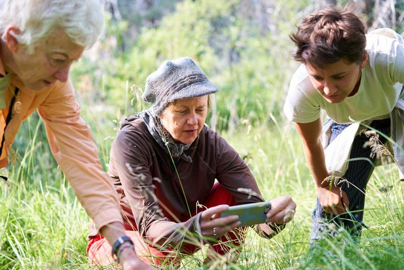 Die Ergebnisse zeigen, welches Potenzial die Nutzung von Bürgerdaten, z. B. von iNaturalist, für die Kartierung von Pflanzenmerkmalen auf globaler Ebene hat.