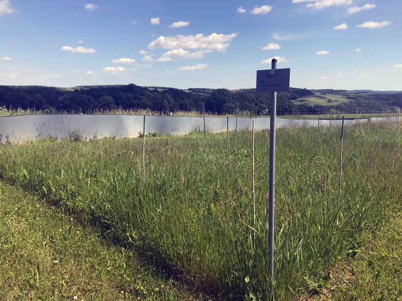 1.	Untersuchungsfläche im Jena-Experiment, eines der weltweit ältesten Biodiversitätsexperimente.