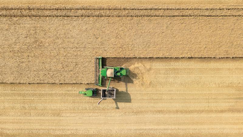 A combine harvests the field and continuously measures the yield per hectare in high resolution.