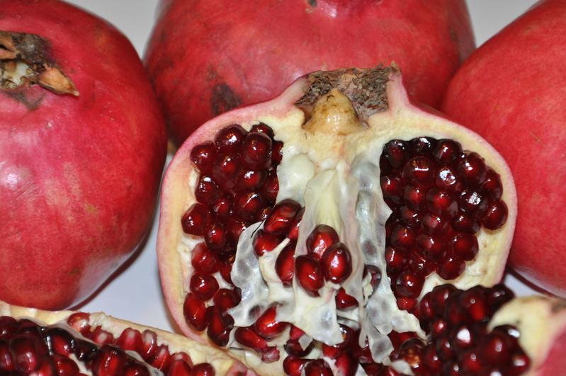 A metabolite from pomegranates boosts tumour-fighting T cells, according to a study by Georg-Speyer-Haus, Goethe University Frankfurt and the LOEWE Centre Frankfurt Cancer Institute (FCI). Photo: Markus Bernards