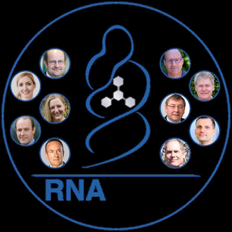 Das Projektteam „RNA-DRUGS“. Linke Seite von oben: Harald Schwalbe, Sandra Ciesek, Julia Wiegand, Daniel Merk, Marcel Blommers. Rechte Seite von oben: Peter Maas, Michael Göbel, Franz Bracher, Andreas Schlundt, Martin Raditsch