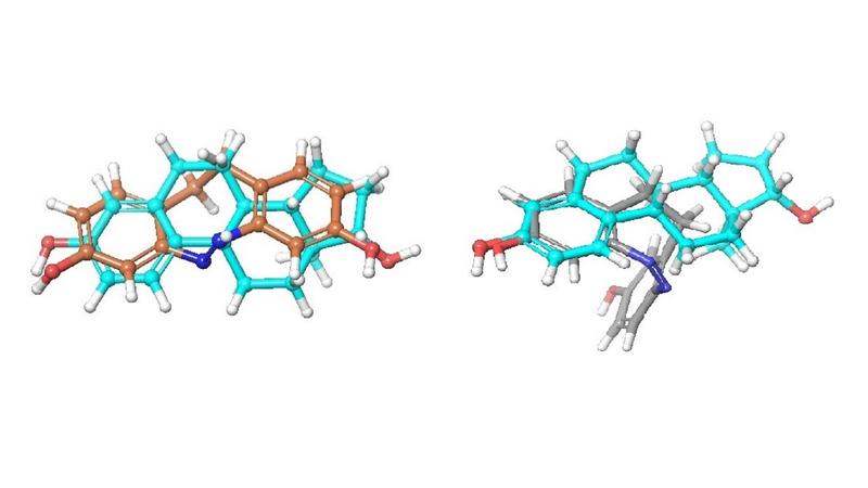 Das Modell zeigt, wie strukturell ähnlich sich ein natürliches Geschlechtshormon Estradiol (hellblau) und ein Diazocin-Molekül (braun) im aktiven Zustand sind (links) und wie unähnlich im inaktiven (grau, rechts).