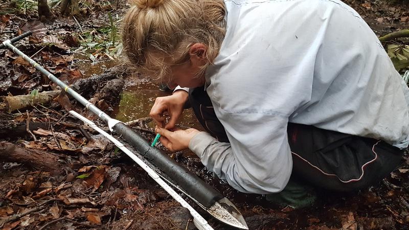 Dr. Johanna Menges (MARUM, Bremen) beim Beproben eines Torfkerns aus der Cuvette Congolaise während der Expedition im Frühjahr 2022. 