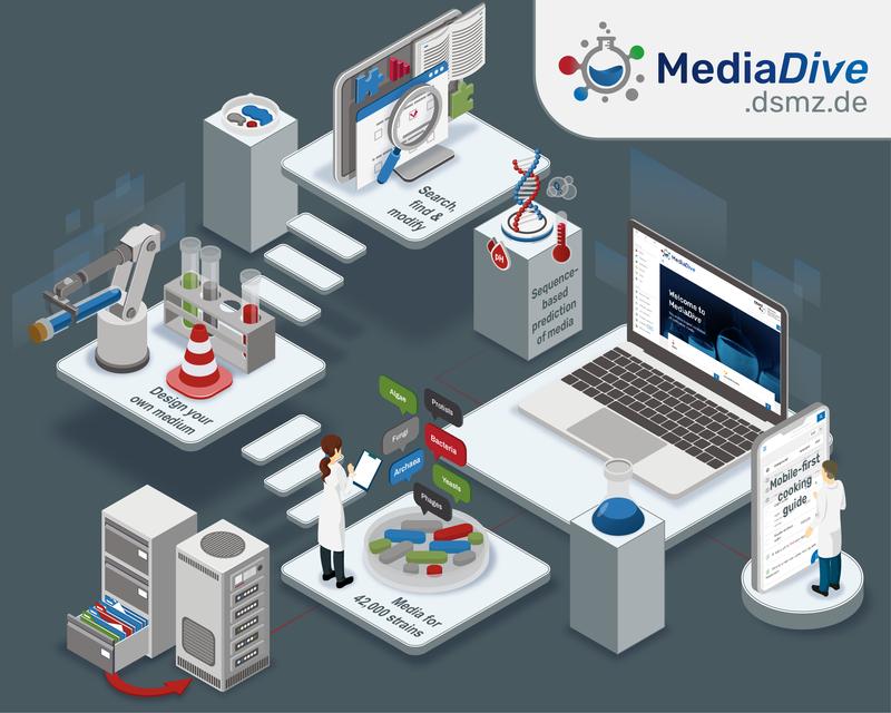 Schematische Darstellung der Funktionalitäten der neuen Datenbank MediaDive