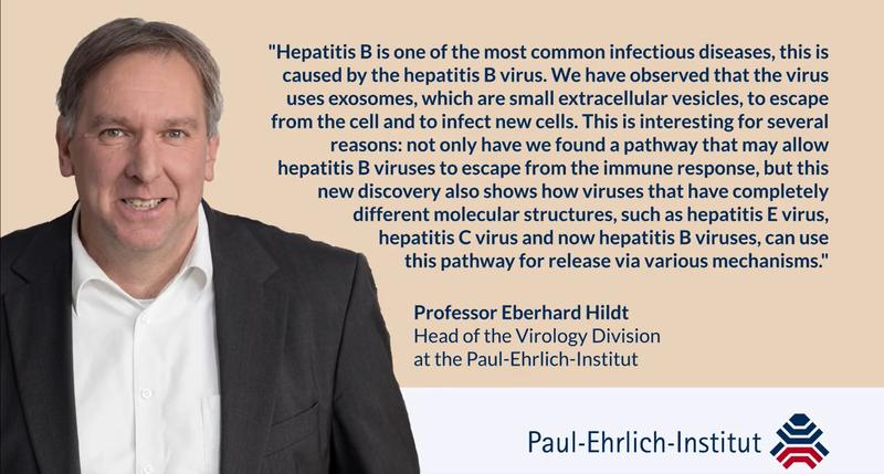 Quote Prof. Hildt with most important results