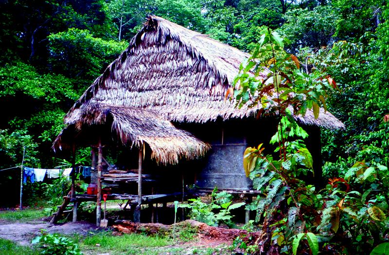 Die DPZ-Feldstation in Peru bestand 1998 noch aus einer einfachen Hütte. Foto: Stefanie Heiduck
