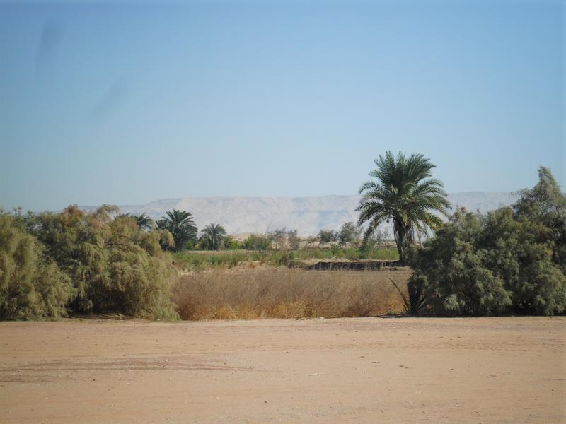 In der Oase ad-Dachla leben nachweislich seit der 5. Dynastie (2504 bis 2347 v. Chr.) Ägypter*innen.