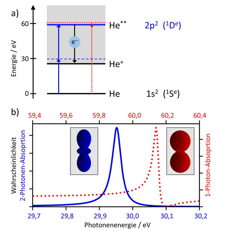 Abb. 1: (a) Energieniveaus, (b) berechnete Anregungsfunktion und Winkelverteilungen (Teilbilder) für EUV-Photoionisation von Helium: Absorption von zwei Photonen (blau) und von einem Photon doppelter Energie (rot). 