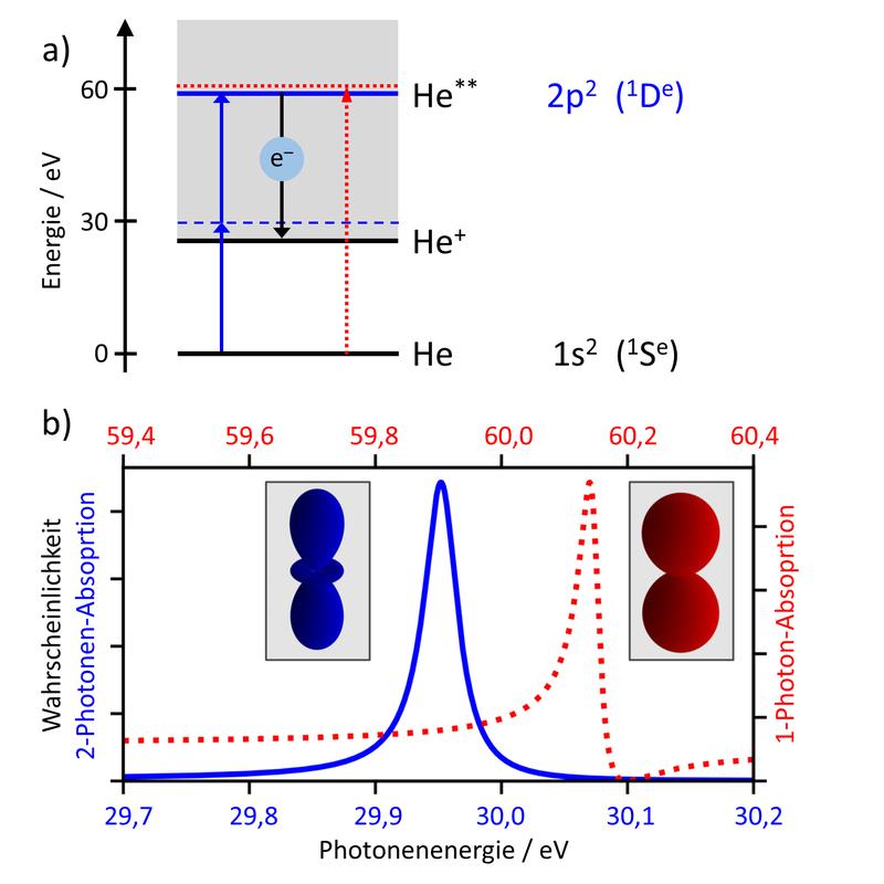 Abb. 1: (a) Energieniveaus, (b) berechnete Anregungsfunktion und Winkelverteilungen (Teilbilder) für EUV-Photoionisation von Helium: Absorption von zwei Photonen (blau) und von einem Photon doppelter Energie (rot). 