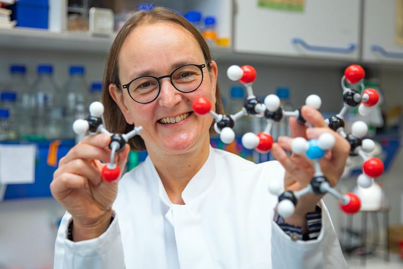 Ein kleines Anhängsel kann große Wirkung haben: PD Dr. Martina Mühlenhoff mit dem Molekülmodell der Sialinsäure und einer Acetylgruppe. 