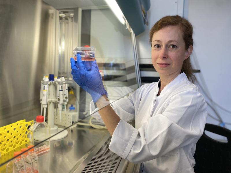 Sophia Danhof skizziert im Labor die Interaktion von Immunzellen mit der CAR-T-Zelltherapie und untersucht, wie man das Multiple Myelom empfindlicher gegen Immuntherapien machen kann