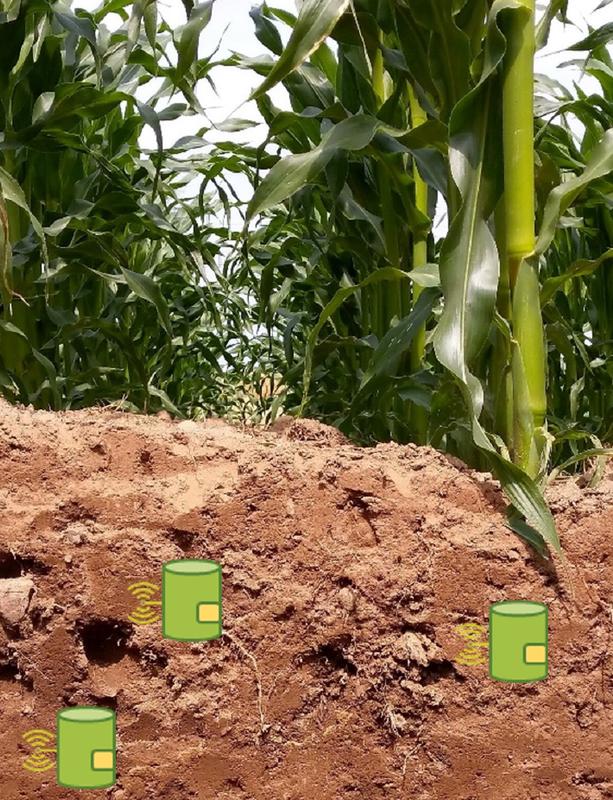 The interdisciplinary team at CAU wants to develop a 24/7 measuring device that records the most important nutritional values directly in the soil. This enables farmers to optimise fertilisation based on data.