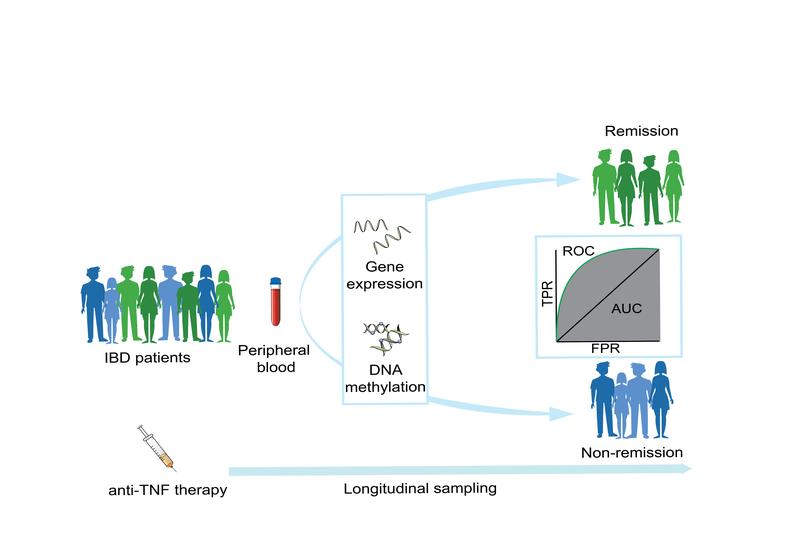 Bestimmte Muster der Genexpression und der DNA-Methylierung in Blutproben von CED-Patient*innen können früh bei einer anti-TNF-Alpha-Therapie darauf hinweisen, ob jemand auf die Therapie ansprechen wird (Remission) oder nicht (Non-Remission). 