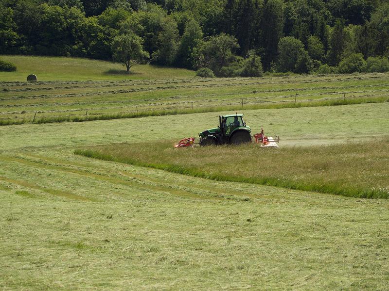 Die Biodiversität landwirtschaftlich genutzter Wiesen- und Weideflächen spielt eine wichtige Rolle für eine Vielzahl von Ökosystemleistungen.