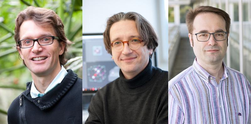 Die „Highly Cited Researchers“ der Fakultät für Naturwissenschaften (v.l.): Prof. Fedor Jelezko, Prof. Martin Plenio und Prof. Steven Jansen