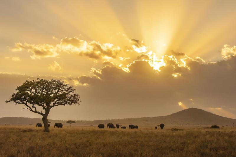 Schatzkammern der Erde: Der Erhalt der Biodiversität ist existenziell für die Lebensgrundlage der Menschheit. Die Deutsche Bundesstiftung Umwelt (DBU) lädt mit Blick auf den bevorstehenden Weltnaturgipfel in Kanada zum DBUdigital-Online-Salon ein.