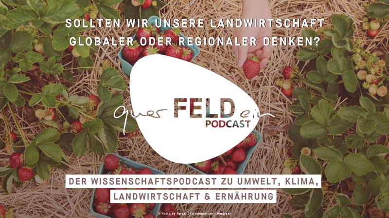 In der neusten Podcastfolge mit ZALF-Wissenschaftler Sebastian Rogga geht es um die Frage: Sollten wir unsere Landwirtschaft globaler oder regionaler denken?