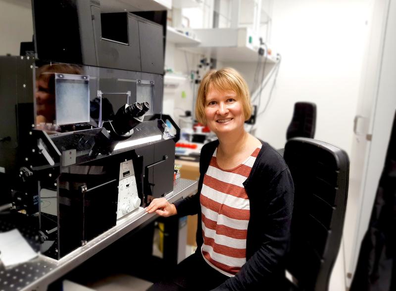 Dr. Henrike Niederholtmeyer erhält ERC Starting Grant