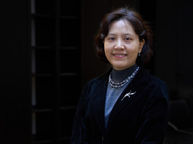 Dr. Shu-Perng Hwang is the new Schlegel Professor at the University of Bonn. 